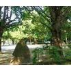 公園
