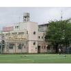 幼稚園、保育園