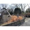 公園