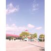 幼稚園、保育園