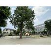 公園