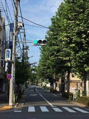 前面道路は歩道・植栽が整備された、趣ある通りです！