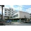 幼稚園、保育園