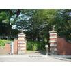 大学