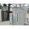 幼稚園、保育園