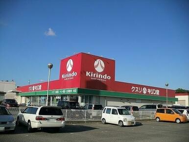 キリン堂鴨島店