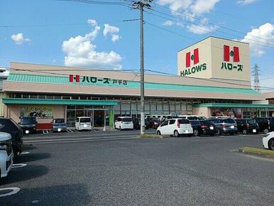 ハローズ戸手店