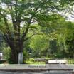 公園