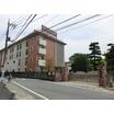 幼稚園、保育園