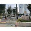 公園