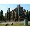 大学