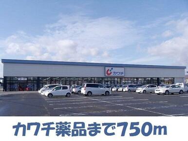 カワチ薬品花巻店