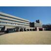 大学