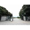 公園