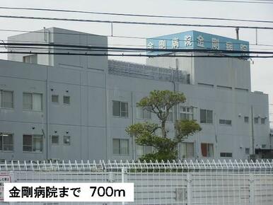 金剛病院