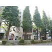 周辺環境