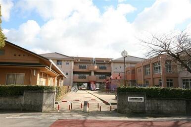 徳島市立佐古小学校