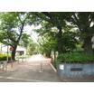 公園
