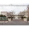 中学校