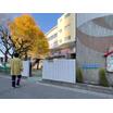 幼稚園、保育園