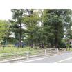 公園