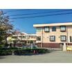 幼稚園、保育園