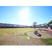 公園