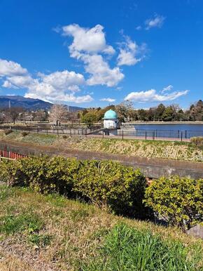 門池公園