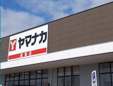 ヤマナカ追進店
