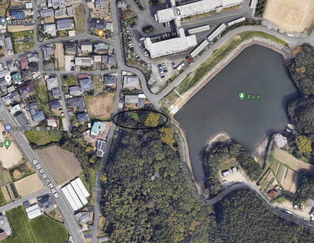 物件画像 福岡市西区 大字千里 (周船寺駅) 家庭菜園用地