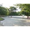 公園