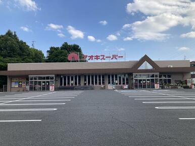 アオキスーパー伊賀店