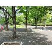 公園