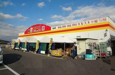 ダイレックス鹿島店