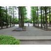 公園