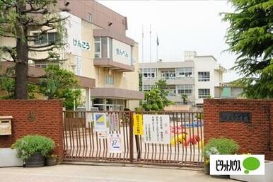 川口市立並木小学校