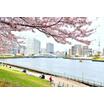 公園
