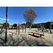 公園