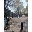 公園