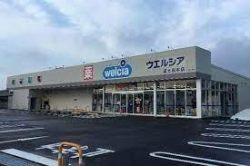 ウエルシア富士荒田島店