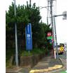 大学