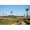 公園