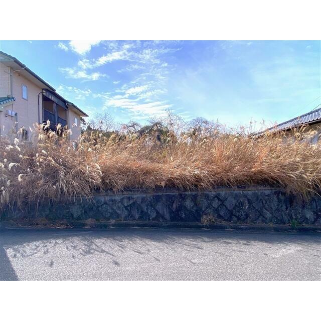 2026年1月撮影
