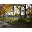 公園