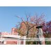 大学