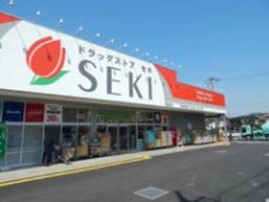 ドラッグストアセキ藤金店