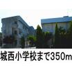 中学校