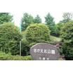 公園
