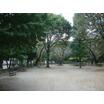 公園