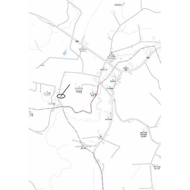 detached 鵜飼臨安